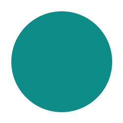 teal-circle-icon